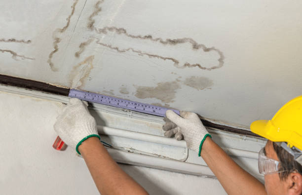 Reliable Structural Drying contractor in Hadley, MI by Water Damage Irwin